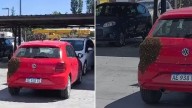 Neuquén: salió de trabajar, encontró un enjambre de abejas sobre su auto y tuvo que pedir ayuda
