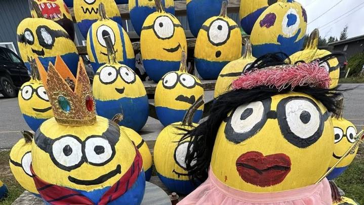 Challenge Mountain’s pumpkin display is 'a little work of art'