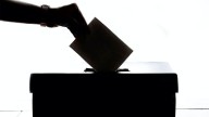 Democracia y cisnes negros