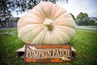 What’s happening in the Mid-Hudson Valley: Oct. 1, 2025