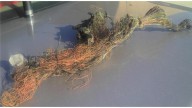 You can get $1,000 reward for reporting fiber-optic cable theft in Phoenix
