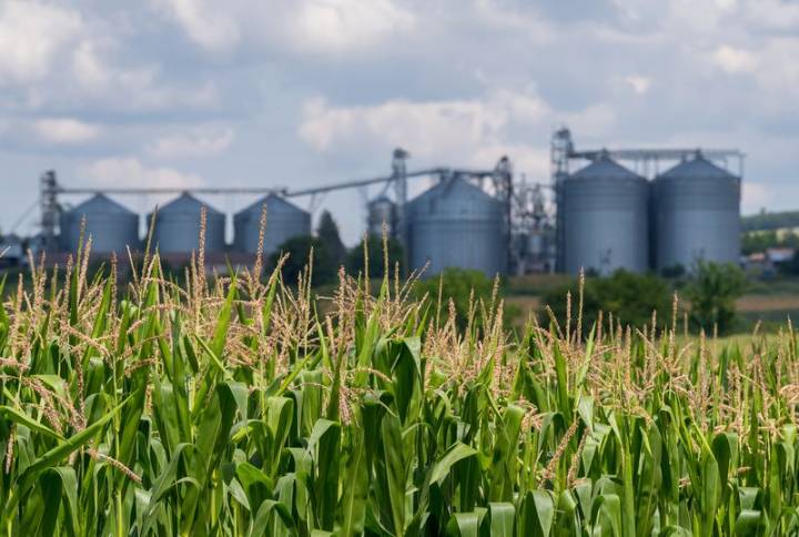 Punjab needs a food-processing push