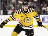 Seven Sarnia Sting players on NHL Central Scouting watch list