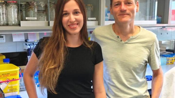Investigadores españoles identifican moléculas clave que impulsan el cáncer de endometrio
