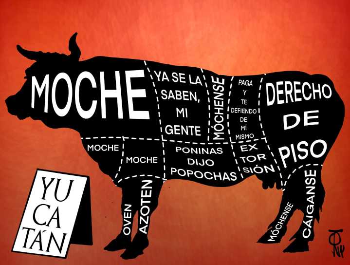 Cartón de Tony: Carne, cortes y huesos