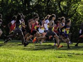 High school boys cross country: Rogers, Bowsher's Retzloff win big at City League meet