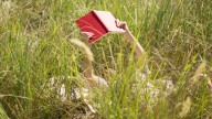 The Best Books of 2025 So Far