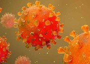 Covid virus can cause changes in sperm, raise anxiety risk in future generations: Study