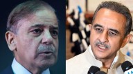 Shehbaz Sharif from Pak, Kirti Vardhan from India: Who will attend Egypt summit?