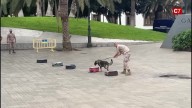 La Armada da el pistoletazo de salida al 12 de octubre, Día de Fiesta Nacional