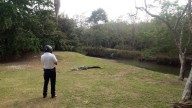 Buscan instalar cámaras para evitar ingresos indebidos a zonas de cocodrilos en Tampico