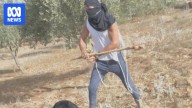 West Bank community left reeling after Palestinian woman clubbed by masked Israeli settler