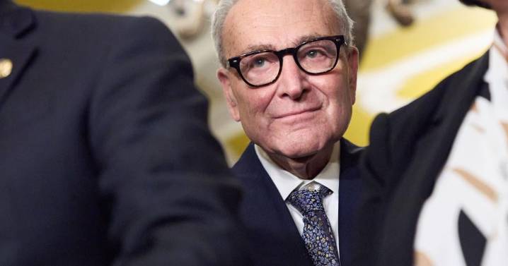 Democrats embrace a shutdown fight in a rare moment of unity against Trump