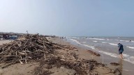 Palizada del río Pánuco no frena a visitantes: familias disfrutan en Playa Miramar [Video]