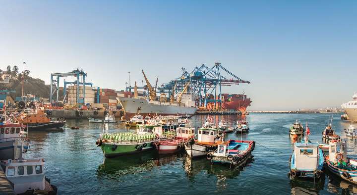 Exports Record Positive Growth In 24 Nations In April-Sept; Reflect Market Diversification