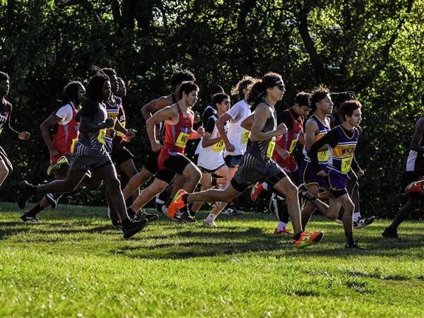 High school boys cross country: Rogers, Bowsher's Retzloff win big at City League meet