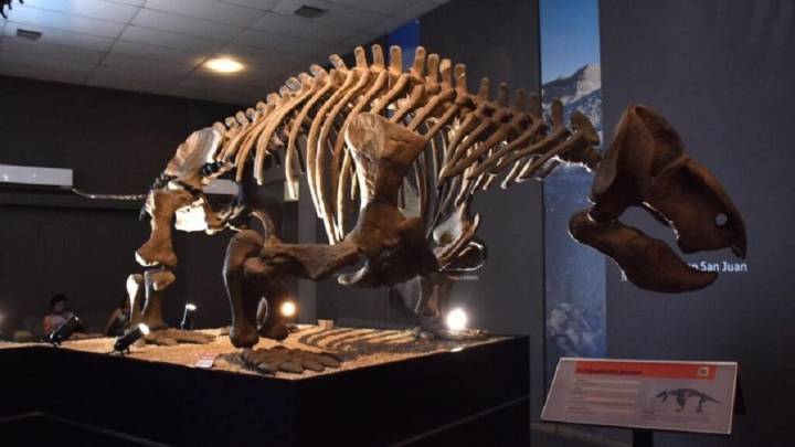 Hallazgo paleontológico: encuentran en Ischigualasto un dinosaurio que vivió hace 230 millones de años