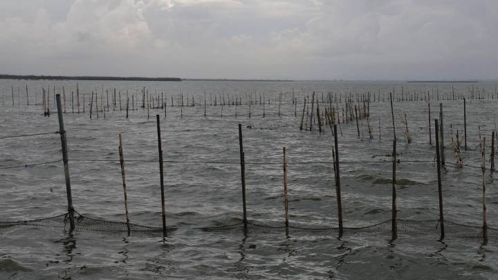 Electrocutado en l'Albufera mientras pescaba