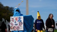 ‘No Kings’ protests draw crowds in millions across US to decry Trump