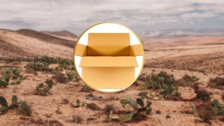 Hacen aterrador hallazgo dentro de una caja de cartón en medio del desierto