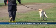 Aspiring rescue dogs travel cross country to Lincoln for FEMA certification
