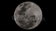 Superluna de octubre 2025: Así se ve ya la deslumbrante “luna de la cosecha”
