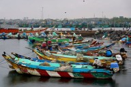 Cyclone Montha set to make landfall near Andhra coast; authorities on high alert