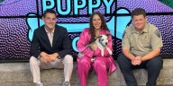 Puppy Picks Week 6