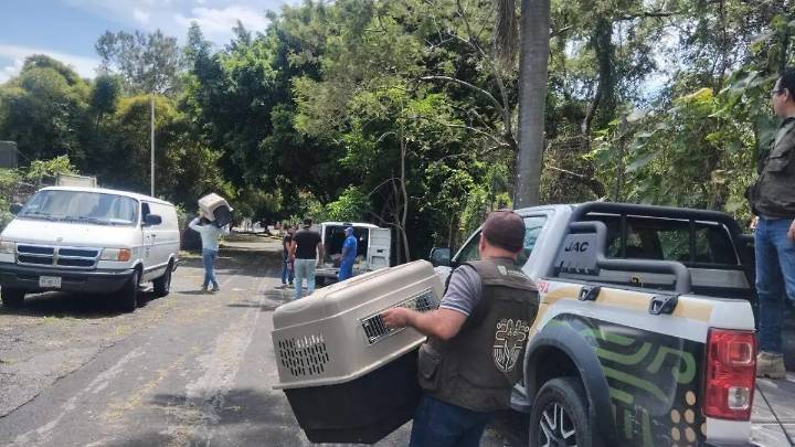 Propaem atiende denuncia de maltrato a perros en Centro Vacacional IMSS Oaxtepec