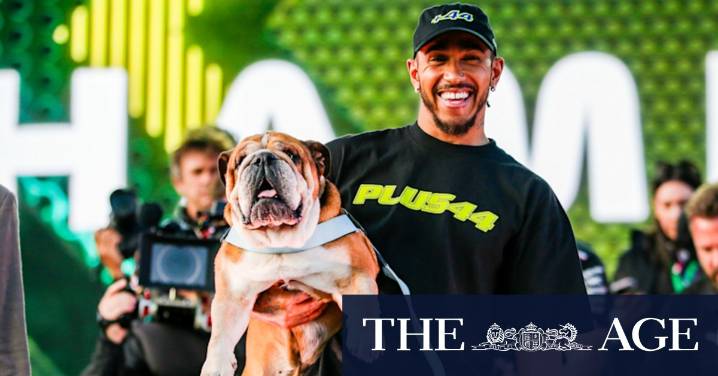Lewis Hamilton dog death: F1 world mourns passing of bulldog Roscoe