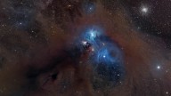Cosmic baboon rampages through deep space in gorgeous new nebula photo