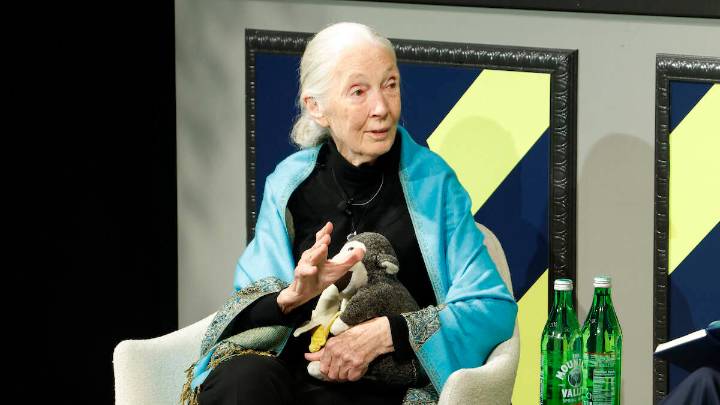 Dr. Jane Goodall Dead At 91