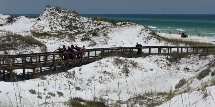 FWC: Red tide numbers increasing along Florida’s Gulf Coast