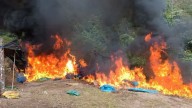 Destruyen nueve laboratorios clandestinos de elaboración de droga en la selva de Sandia