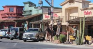 DELETED: Taking the kids: Scottsdale in fall for all ages