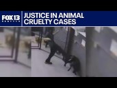 Ensuring justice in animal cruelty cases