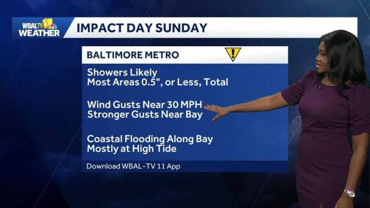A windy day with a chance of rain
