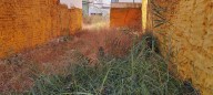El PSOE exige que se actúe ante la “insalubridad, las ratas y el abandono” en Las Colonias en Huelva