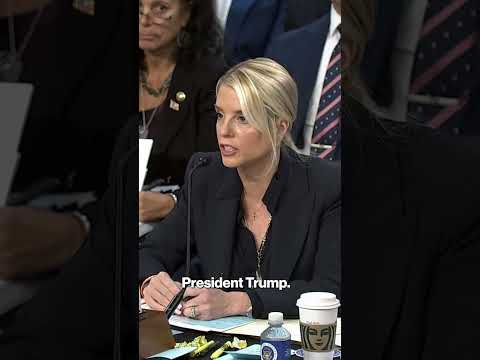 Pam Bondi to Sen. Durbin: 'I Wish You Loved Chicago As Much As You Hate President Trump' #shorts