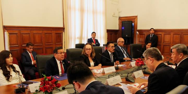 Lady Camones, Eduardo Salhuana y los otros congresistas de APP que buscan reelegirse en el nuevo Congreso bicameral