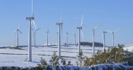 Renewable energy exceeds global coal power generation for the first time ever, analysis finds