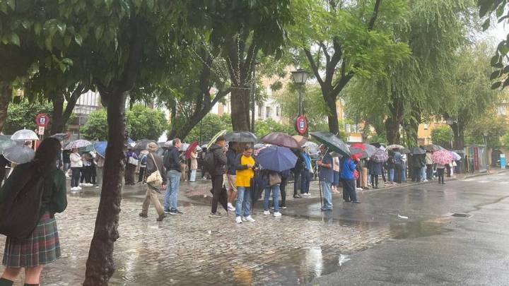Inundaciones, árboles caídos, líneas de Tussam desviadas y el metro cerrado por las fuertes lluvias en Sevilla