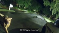 “Buen chico”: mascota ayuda a la policía a encontrar a abuela que se cayó en Florida