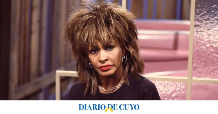 ¡Qué feíta!: la estatua en homenaje a Tina Turner que desató la polémica