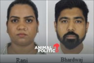 EU sanciona a red transnacional de tráfico de personas en Cancún vinculada al Cártel de Sinaloa