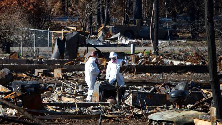 Judge signals lawsuit blaming government for fires can proceed