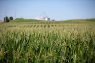 Trump bailout for trade-hit US farmers expected this week