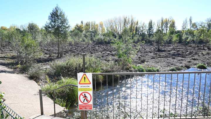 El desbroce en la represa del Paraje de la Moretona que busca prevenir riesgos de inundación