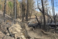 Rain on wildfire burn scars can trigger damaging debris flows − a geologist explains how