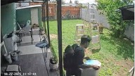 Paraná: lo filmaron robando un secarropas en barrio El Sol y terminó detenido